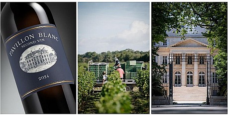 Ch�teau Margaux: v�jime�n� b�l� debut ro�n�ku 2024 � Pavillon Blanc Second Vin