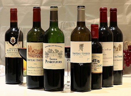 Bordeaux / St.-Emilion - vbr vn v cen okolo 500 K!