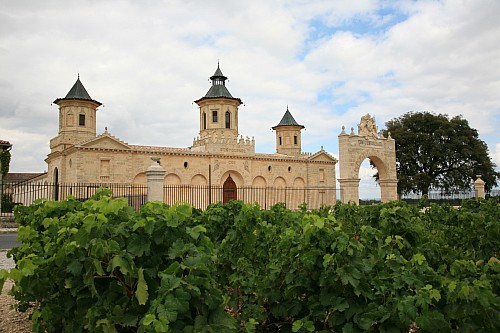 11 / 2024 - NEWSLETTER Z TOPVINO.CZ