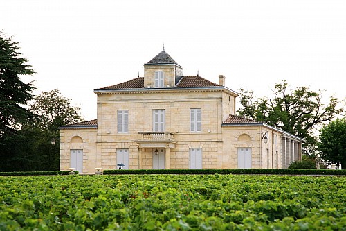 15 / 2025  NEWSLETTER Z TOPVINO.CZ