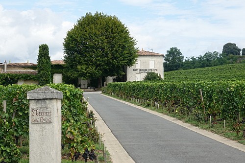 22 / 2025  NEWSLETTER Z TOPVINO.CZ