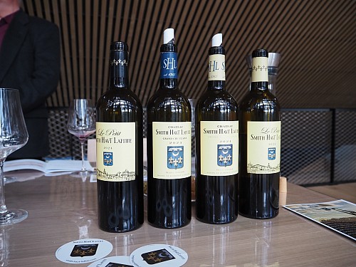 05 – EP 2024 / NEWSLETTER Z TOPVINO.CZ