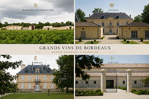 6 / Bordeaux EP 2025 � NEWSLETTER Z TOPVINO.CZ