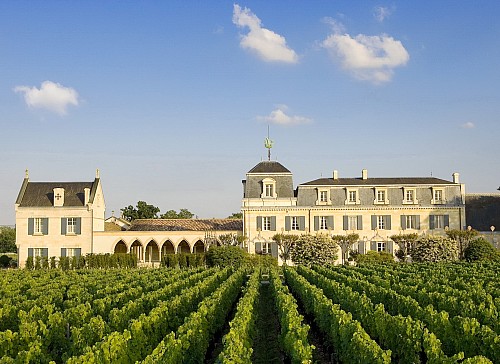 17 / Bordeaux EP 2025 � NEWSLETTER Z TOPVINO.CZ